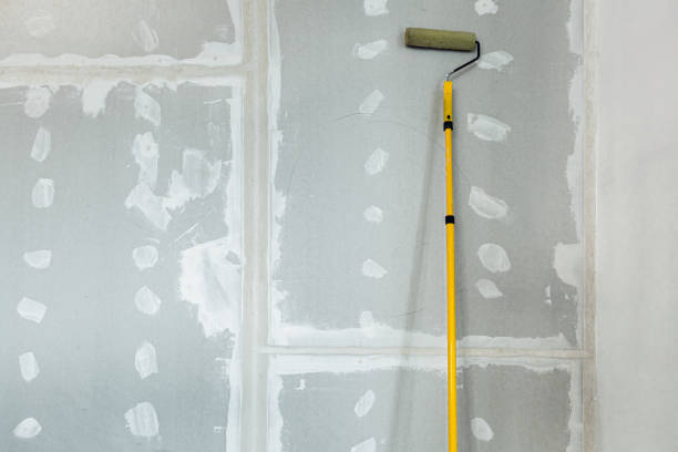 Trusted Sharon, MS Mold Removal Experts